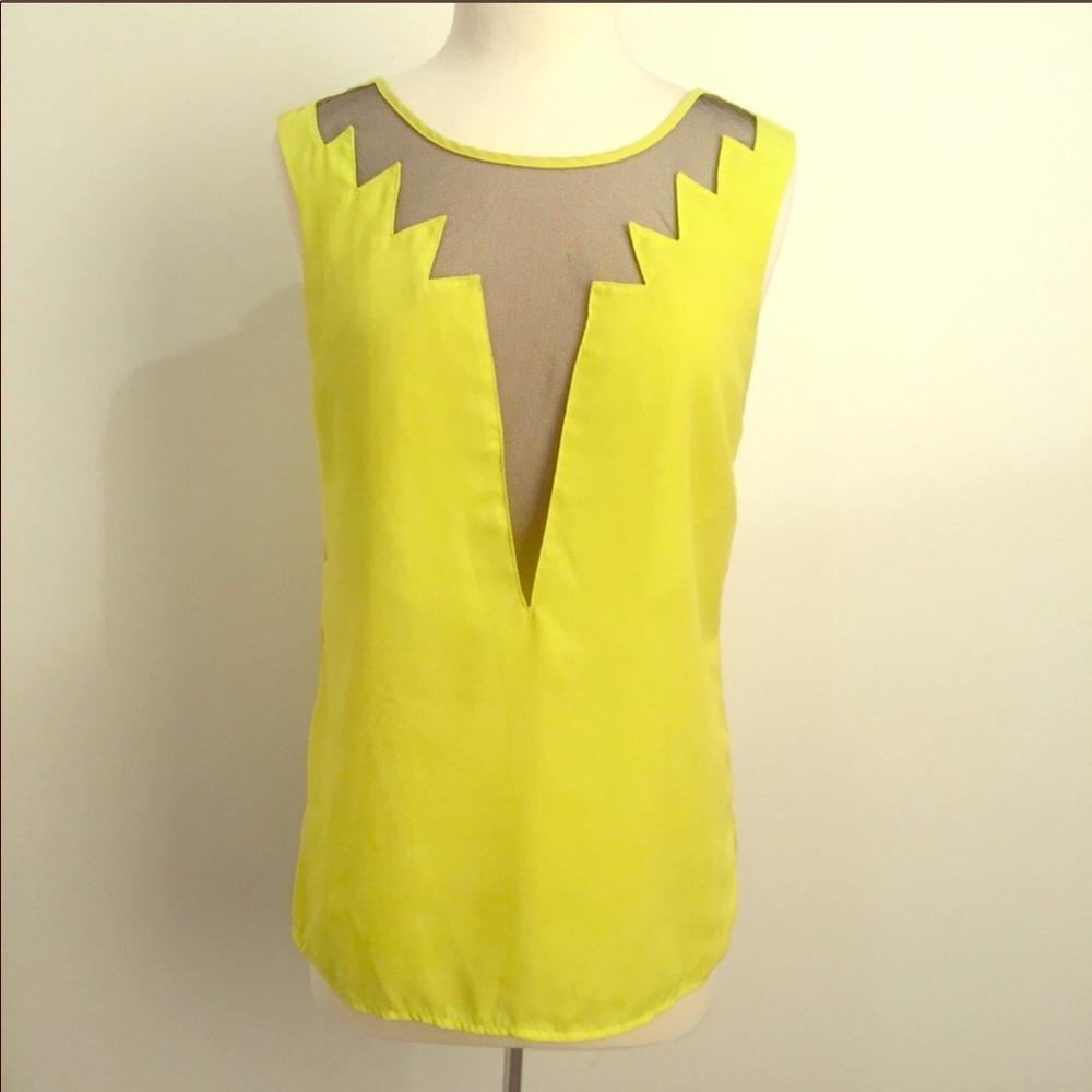 Urban outfitters plunge deep mesh top